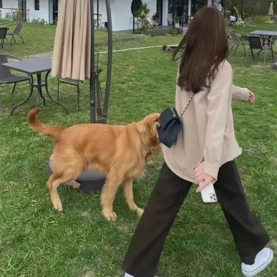 华丽舞台