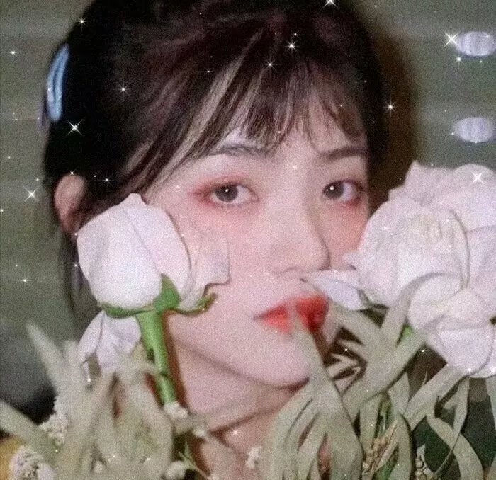 佩比、露西、朋